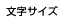 文字サイズ